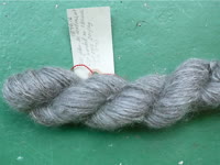 Mushroom_dyeing_Tapinella_atrotomentosa_2011-09-16.jpg